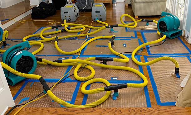Professional Sewage Cleanup technician working in Sloan, NV